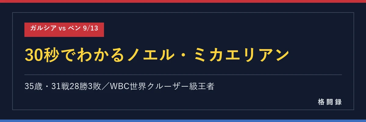 30秒でわかるノエル・ミカエリアン