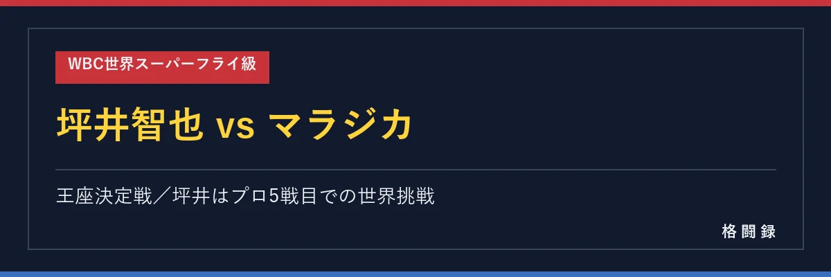 坪井智也 vs リカルド・マラジカ WBC世界スーパーフライ級