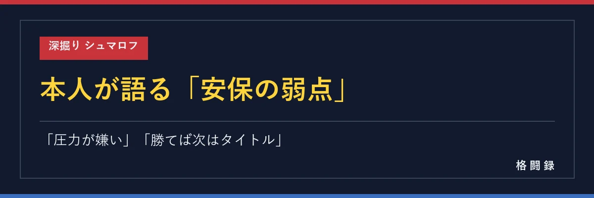 シュマロフが語った安保の弱点