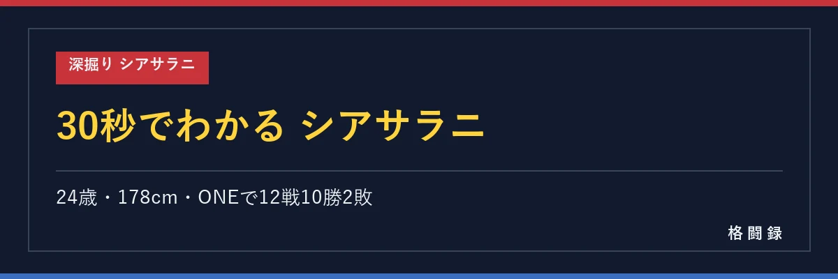 30秒でわかるモハメド・シアサラニ