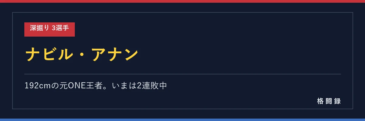ナビル・アナン